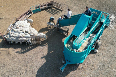 İnegöl modeli Bursa’ya yayılıyor: Küçükbaş hayvancılığa yenilikçi destek