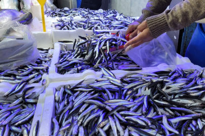 Karadeniz’de balık bayramı: Hamsi ve istavrit 75 TL!