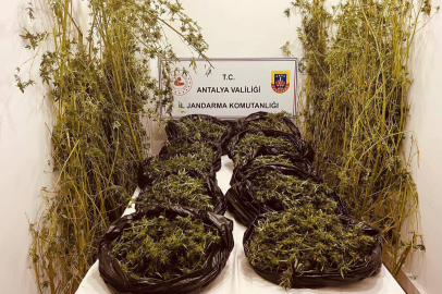 Antalya'da 53 kilo uyuşturucu ele geçirildi