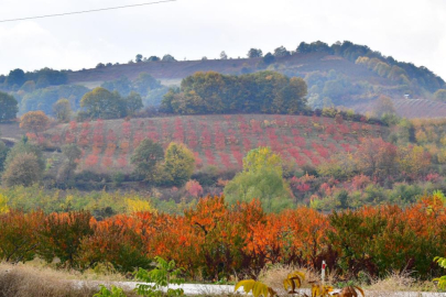 İnegöl'de kartpostallık görüntüler