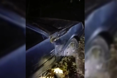 Sinop'ta otomobil şarampole yuvarlandı: 3 yaralı