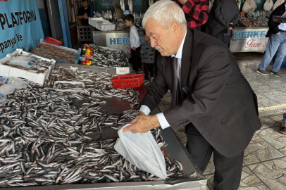 Denizlerde balık bolluğu: Hamsinin fiyatı düşüyor