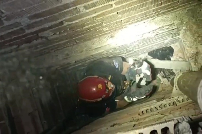 Apartman boşluğunda mahsur kalan yavru kediyi itfaiye kurtardı