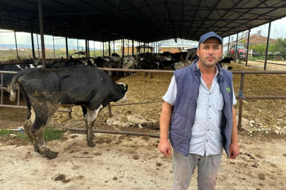Bursalı çiftçi: "8 buzağımızı şapa verdik"