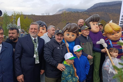 Bursa’da yanan ormanlar yeniden yeşeriyor