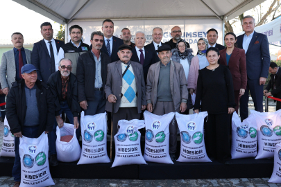 Bursalı çiftçinin yüzü gülüyor