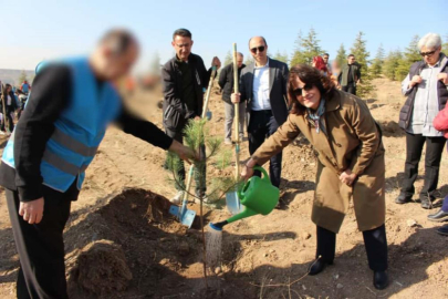 Denetimli serbestlik yükümlüleri fidan dikti