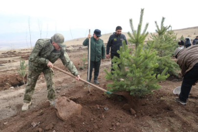 Şehit arkadaşlarının anısına ağaç diktiler