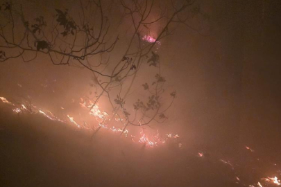 Ormanlık alandaki yangın kontrol altına alındı