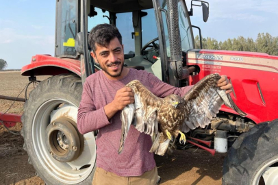 Hasadı bıraktı şahinin yardımına koştu