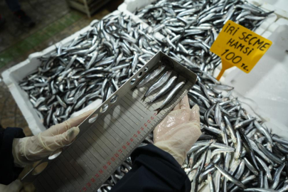 Balık tezgahlarına yakın markaj