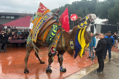 Milyonluk develer süslenmeden arenaya çıkmıyor