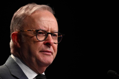 Albanese: Türkiye'nin seçilmesini veto etmeyiz