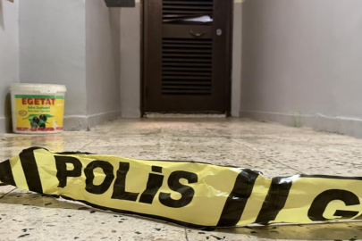 Anne ve ağabeyini yataklarında öldürdü