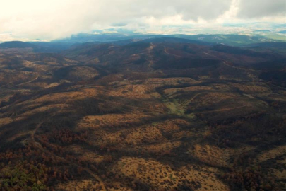 Bursa yeniden yeşerecek