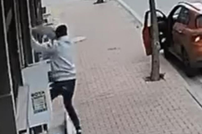 Balkona tırmandı, cins kediyi çaldı