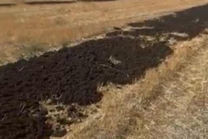 Araziye arıtma çamuru döken firmaya rekor ceza