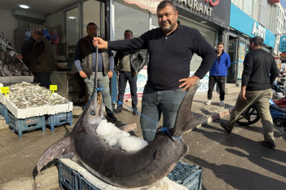 138 kiloluk kılıç balığı ilgi odağı oldu