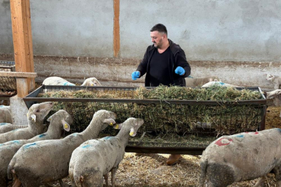 Bursa'da şap mağduru üreticiler destek bekliyor