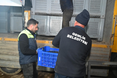 Gemlik'ten zeytinciye büyük destek