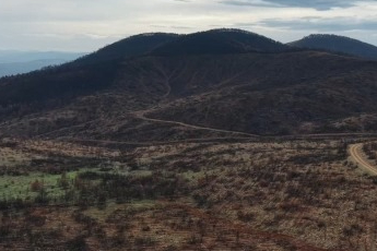 Harmancık'ta yanan 4 bin 256 hektar alan ağaçlandırılıyor