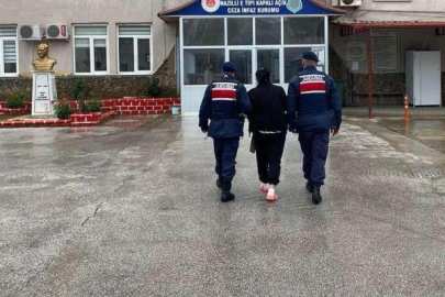 Üç yıl saklandı, kilerde yakalandı