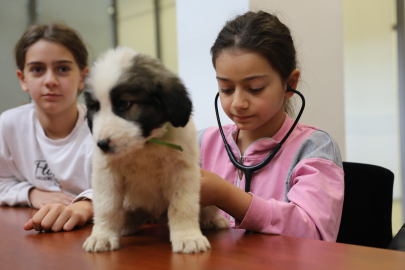Bursa'da minik veterinerler görev başında