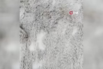 Uludağ'da kar yağışı etkisini sürdürüyor