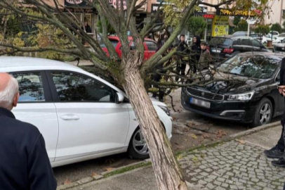 Bursa’da devrilen ağaç korku dolu anlar yaşattı