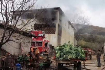 Bursa'da meyve kasalarının bulunduğu depo küle döndü