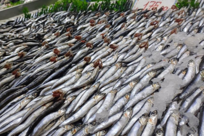 Tezgahlarda palamut yok, hamsi çok