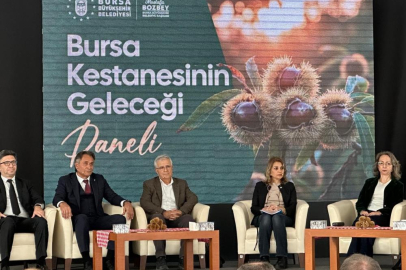 Bursa kestanesinin geleceği konuşuldu