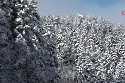 Uludağ'da göz gözü görmüyor