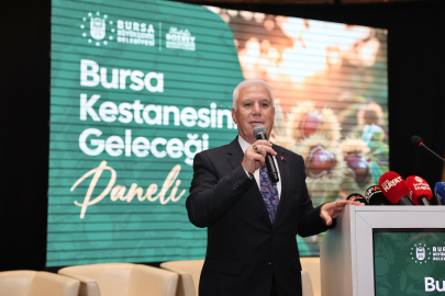 Bursa kestanesine Büyükşehir’den destek