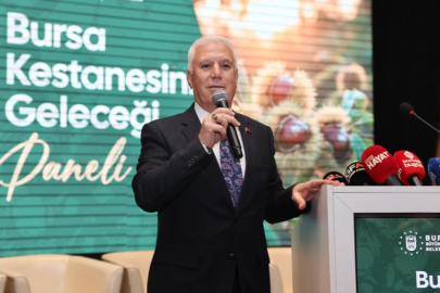 Bursa kestanesine Büyükşehir’den destek