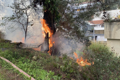 Bursa'da korkutan yangın