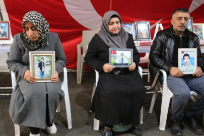 Diyarbakır annelerinden heyet ile görüşme talebi