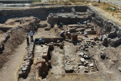 Anadolu'da 4 bin 500 yıl önce meyveler kurutularak yenmiş