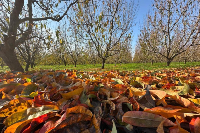 Bursa'da kartpostallık görüntü