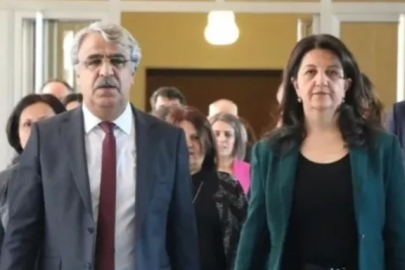 DEM Parti'nin siyaset turu sürüyor