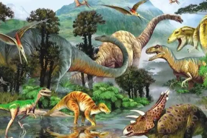 210 milyon yıl öncesine ait dinozor ayak izleri bulundu