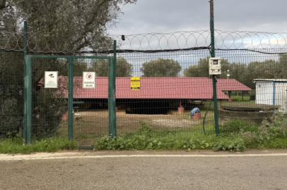 Bursa'daki lahit tarlası gece gündüz korunuyor