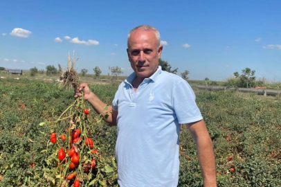 Dedesi seçimde muhtar oldu adına 'Seçim' konuldu