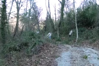 Defne yaprağı bir köyün geçim kaynağı oldu