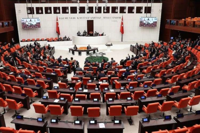 TBMM'deki bütçe görüşmelerinde yumruklu kavga