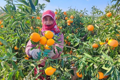 C vitaminini yanlış besinlerde aramayın