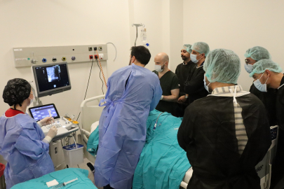 Bursa'da girişimsel radyolojide uluslararası eğitim