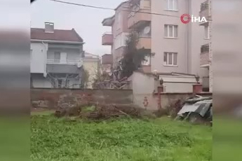 Bursa'da sokak aralarında gezen tilki dikkat çekti