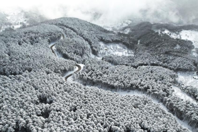 Uludağ'ın virajları görsel şölene dönüştü