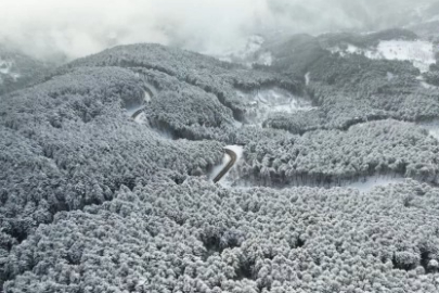 Uludağ'ın virajları görsel şölene dönüştü